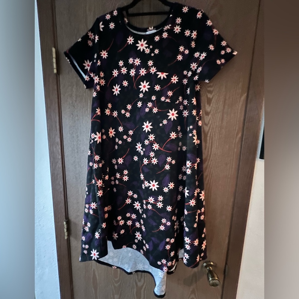 LuLaRoe Carly dress